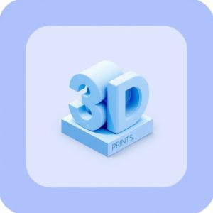 3D Prints